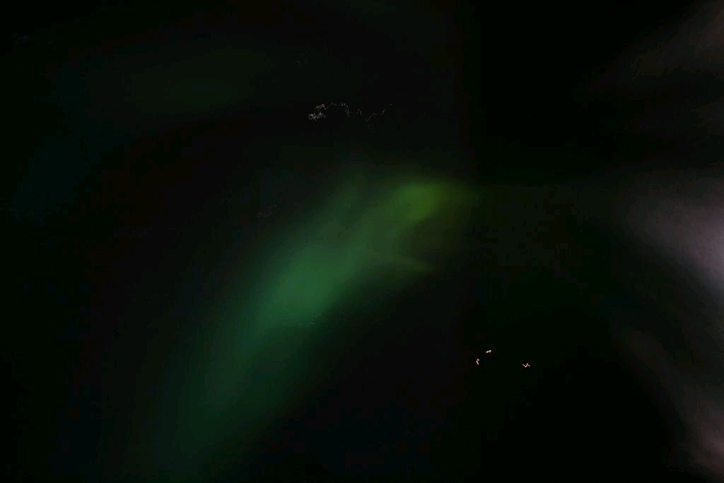 Bild 288
