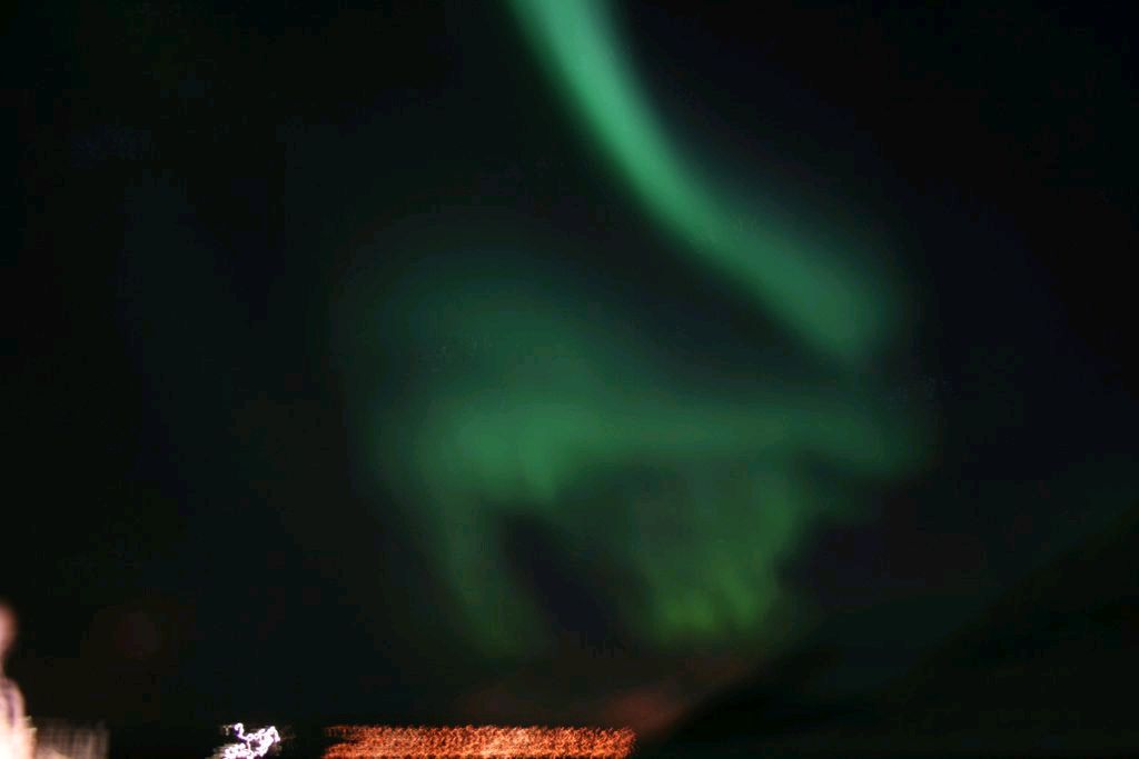 Bild 288