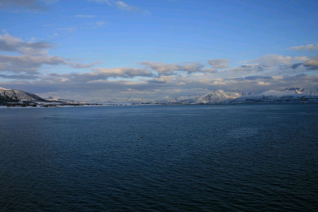 Bild 288