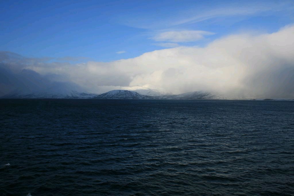 Bild 288